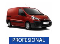 peugeot-profesional